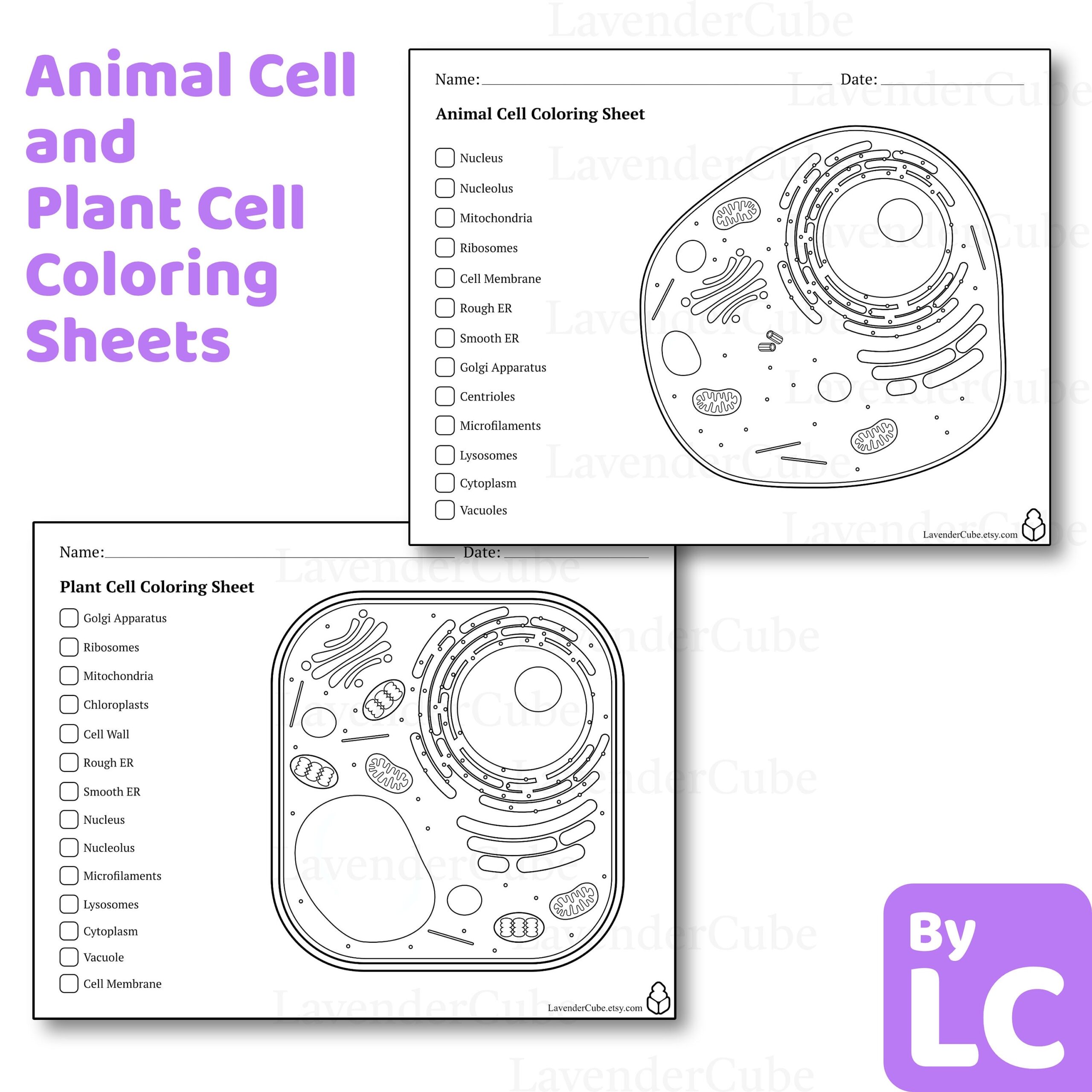 Free Printable Plant Cell Worksheets