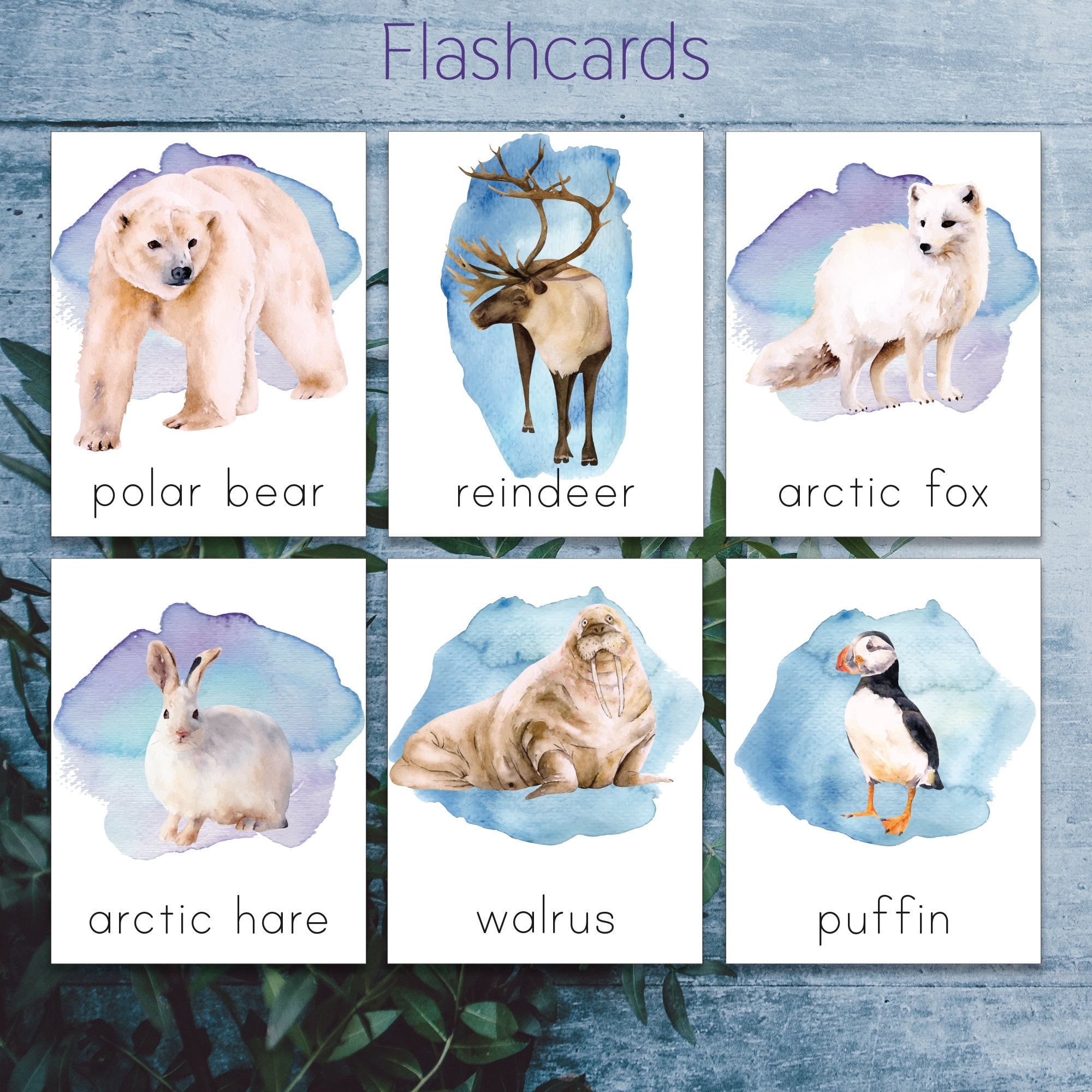 Arctic Animals Montessori Printable North Pole Animals Toddler 