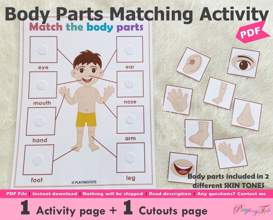 Body Parts Matching Activity Printable Toddler Busy Book Pages Learning Binder Activity Pages Homeschool Resource Etsy Hong Kong