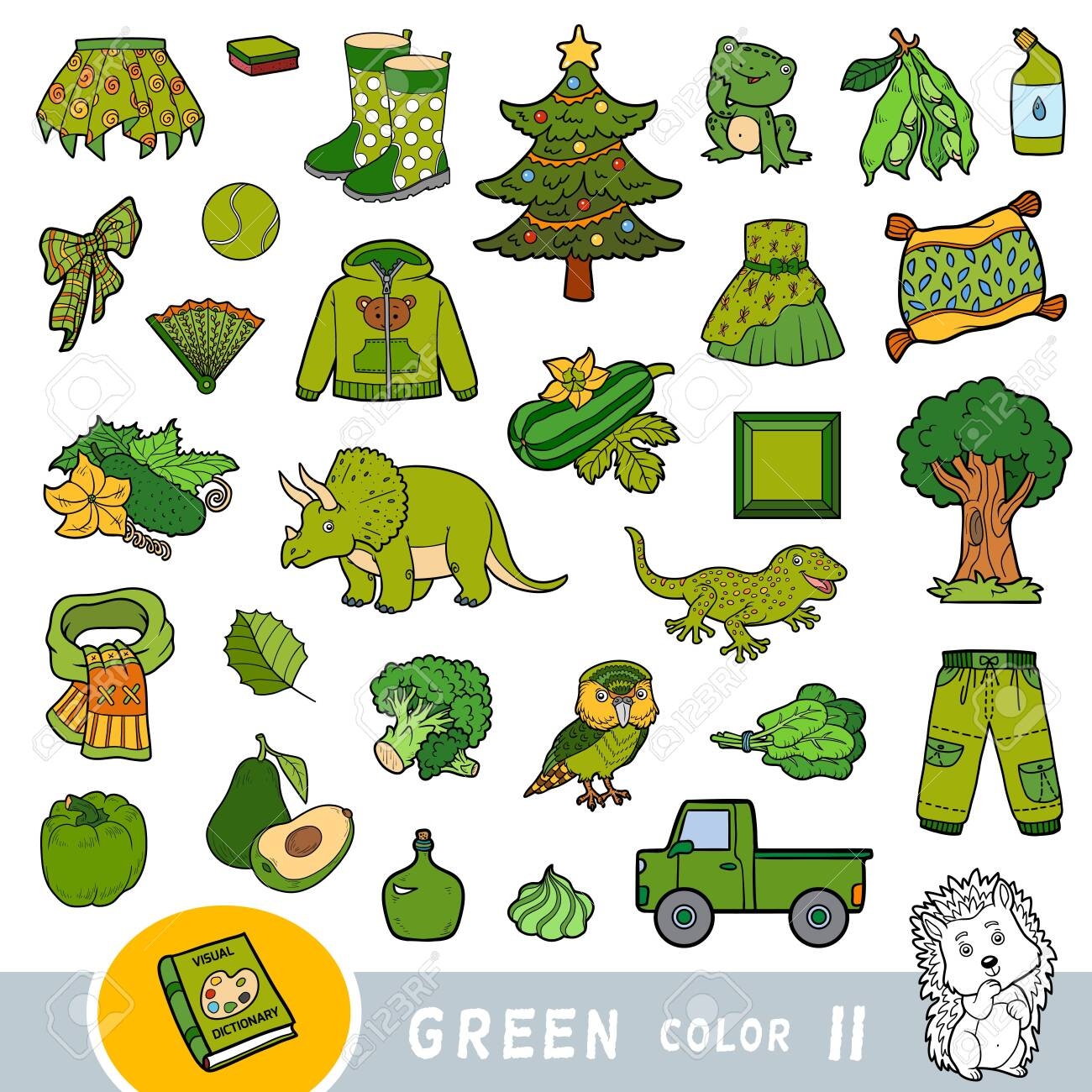 Colorful Set Of Green Color Objects Visual Dictionary For Children About The Basic Colors Cartoon Images To Learning In Kindergarten And Preschool Royalty Free SVG Cliparts Vectors And Stock Illustration Image 137246914 