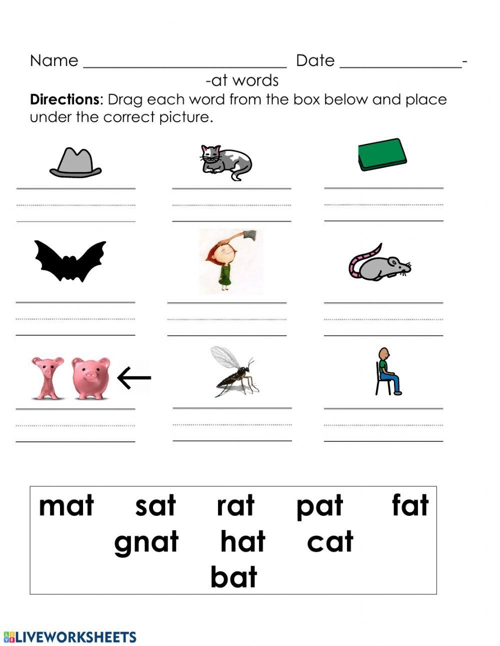 CVC Word Endings Worksheet Phonics Cvc Words Cvc Words 