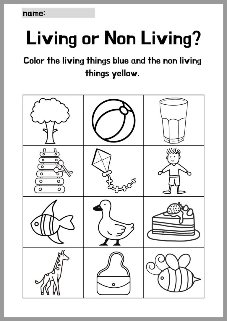 Engaging Preschool Science Worksheets For Curious Minds