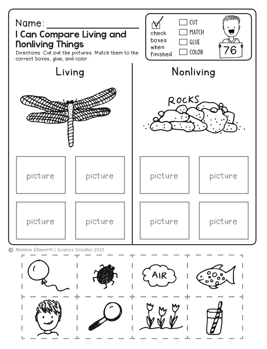 Engaging Preschool Science Worksheets For Curious Minds 