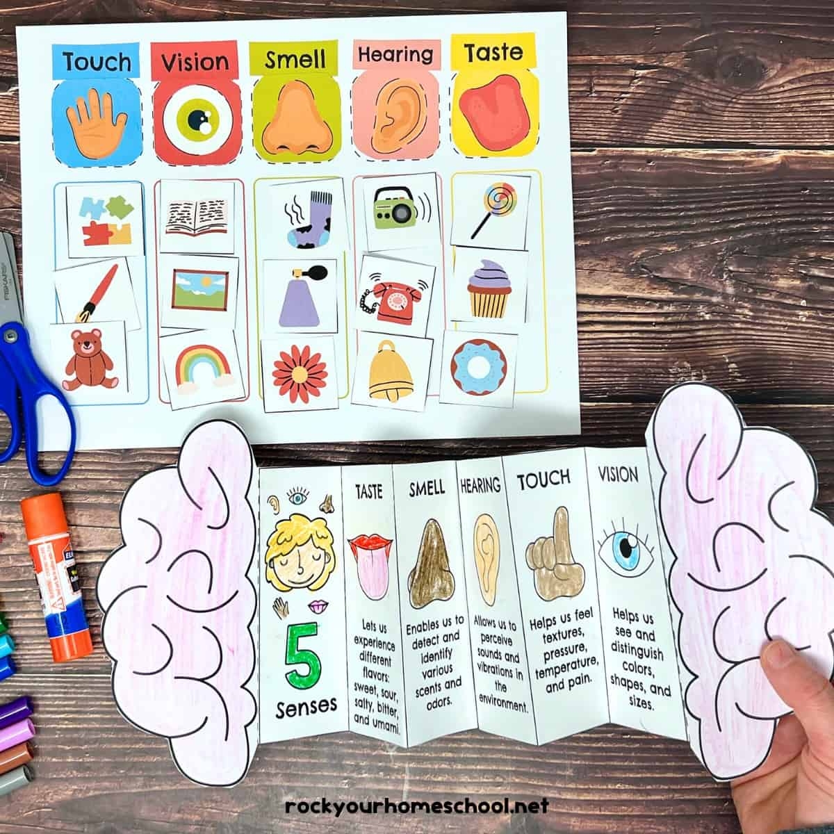 Printable 5 Senses Book For Preschool