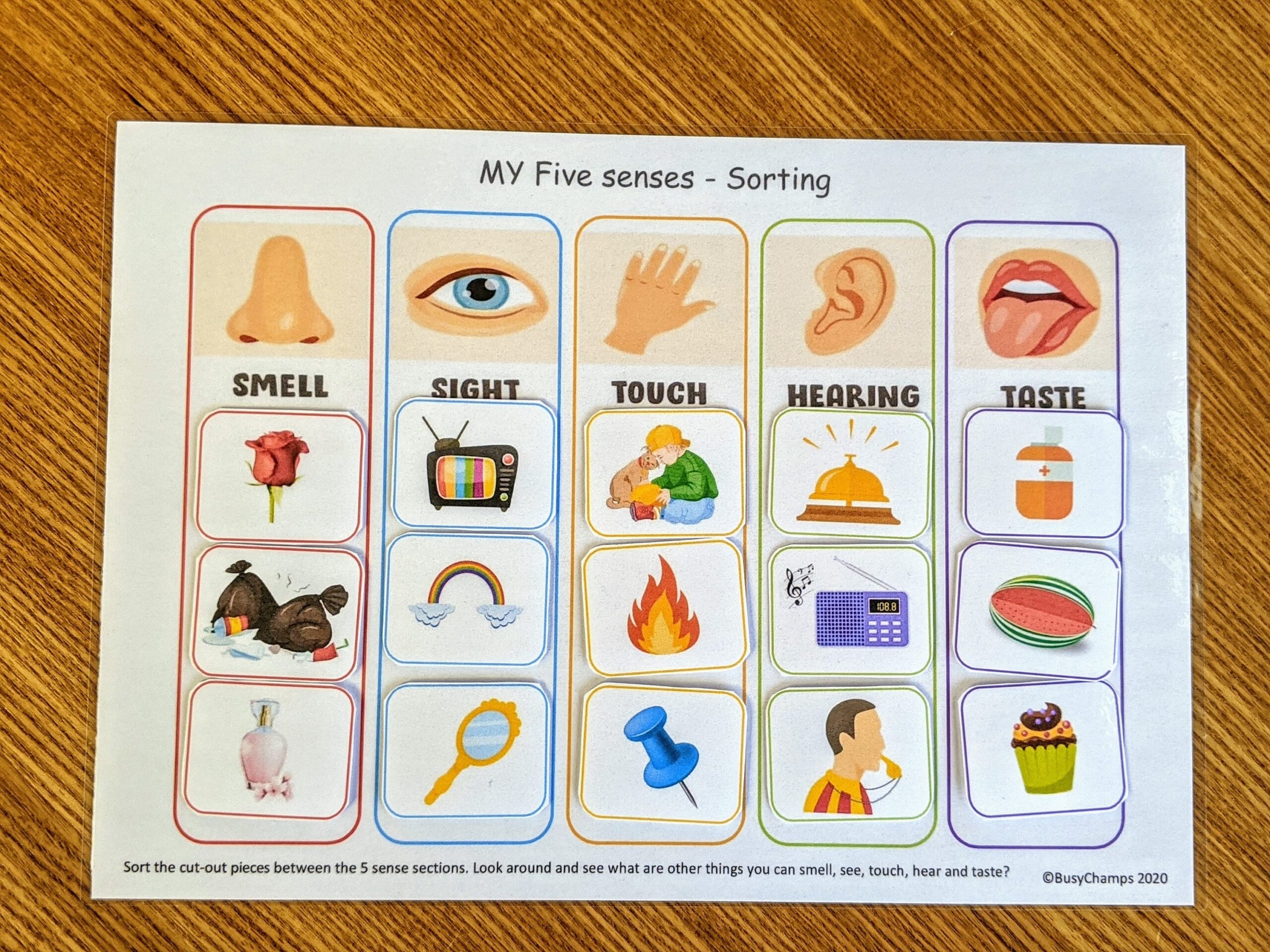 Five Senses Worksheet Busy Book Printable Preschool Learning Worksheets Library