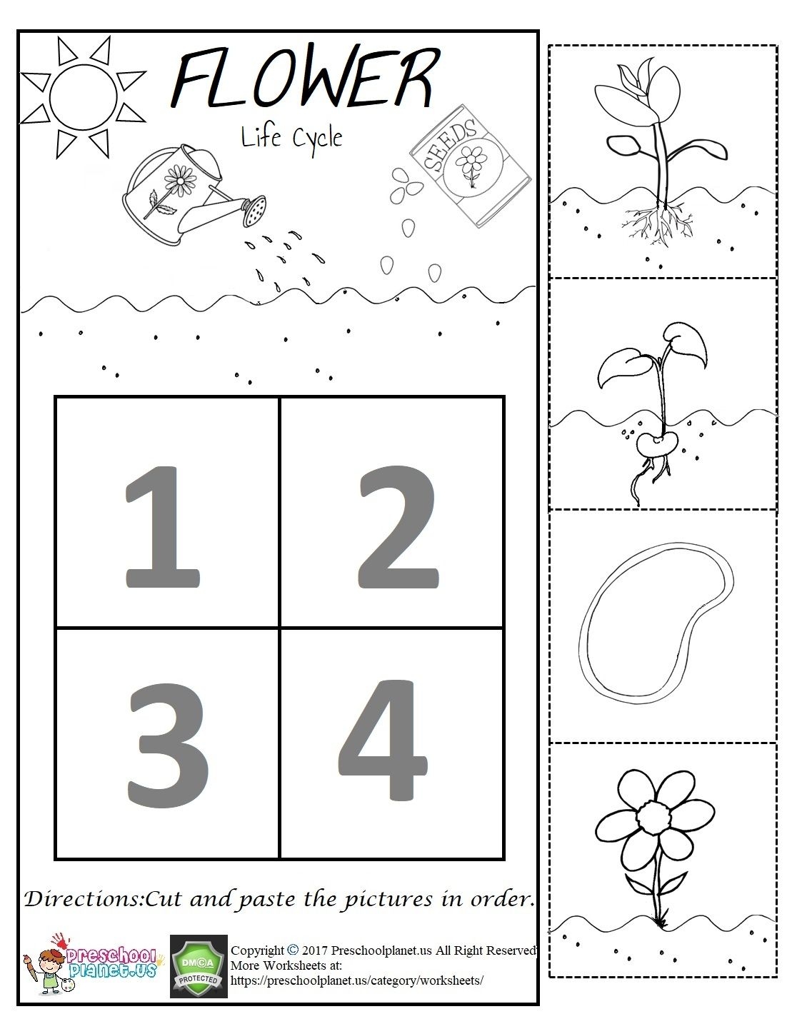 Flower Life Cycle Worksheet Worksheets Library