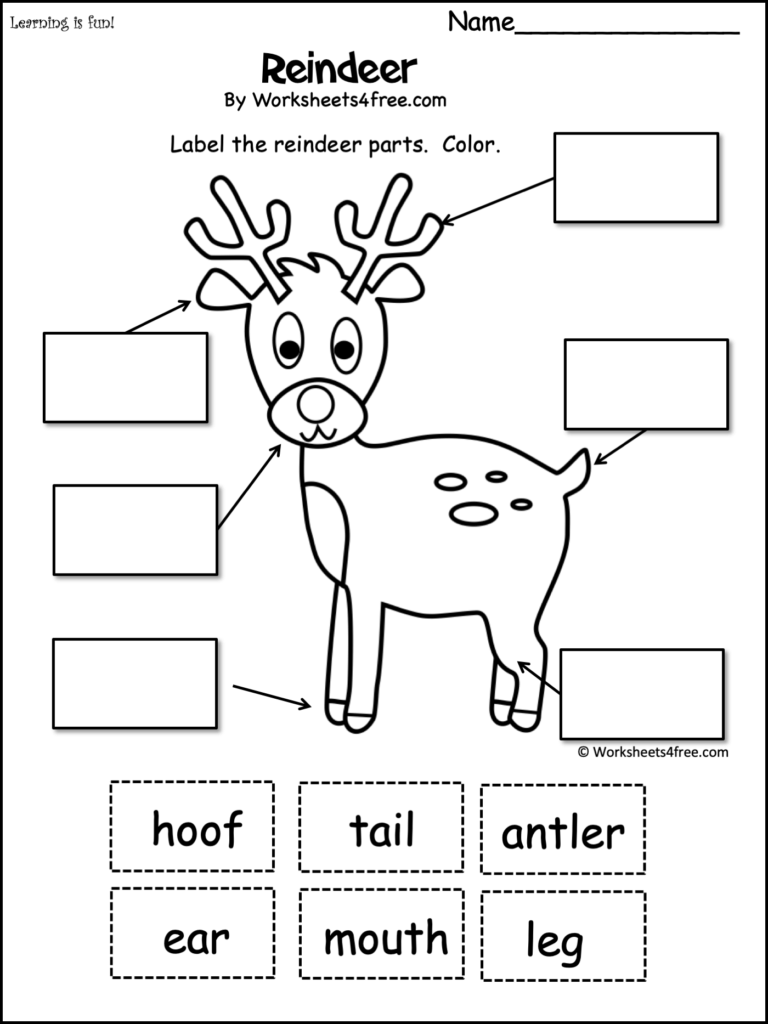 Free Label The Reindeer Worksheet Cut And Paste Worksheets4Free