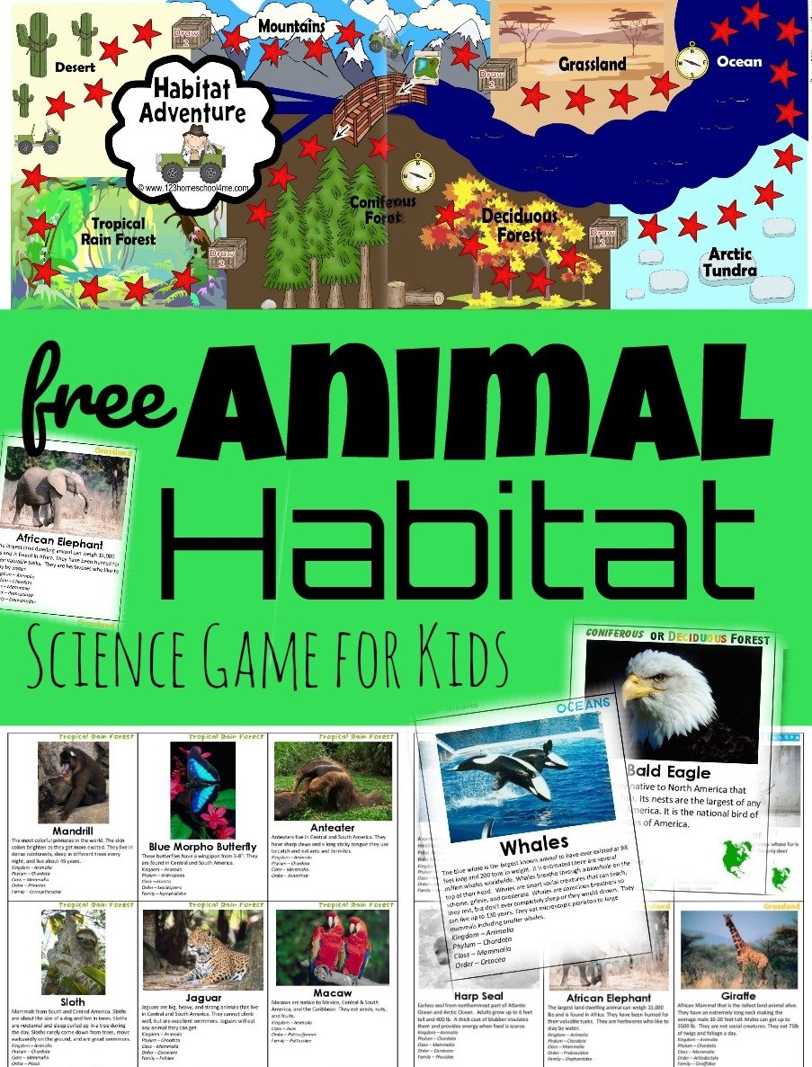  FREE Printable Animal Habitat Game Exploring Biomes For Kids