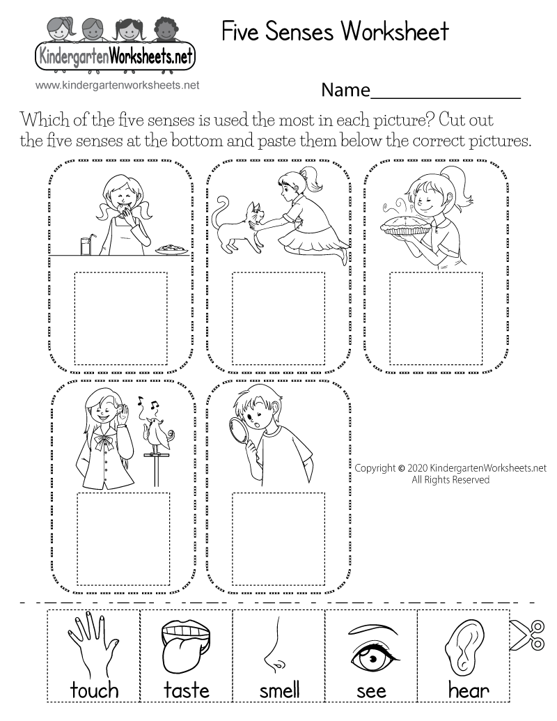 Printable 5 Senses Worksheets For Kindergarten