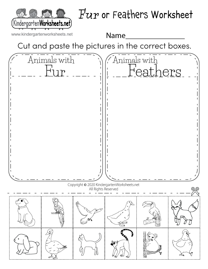 Printable Science Worksheets Free