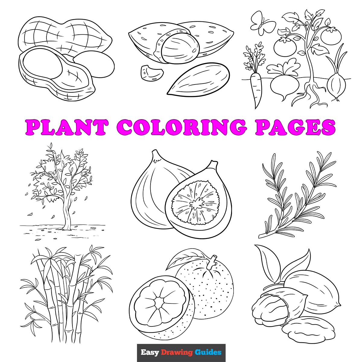 Free Printable Plant Coloring Pages For Kids Free Printable Plant Coloring Pages For Kids