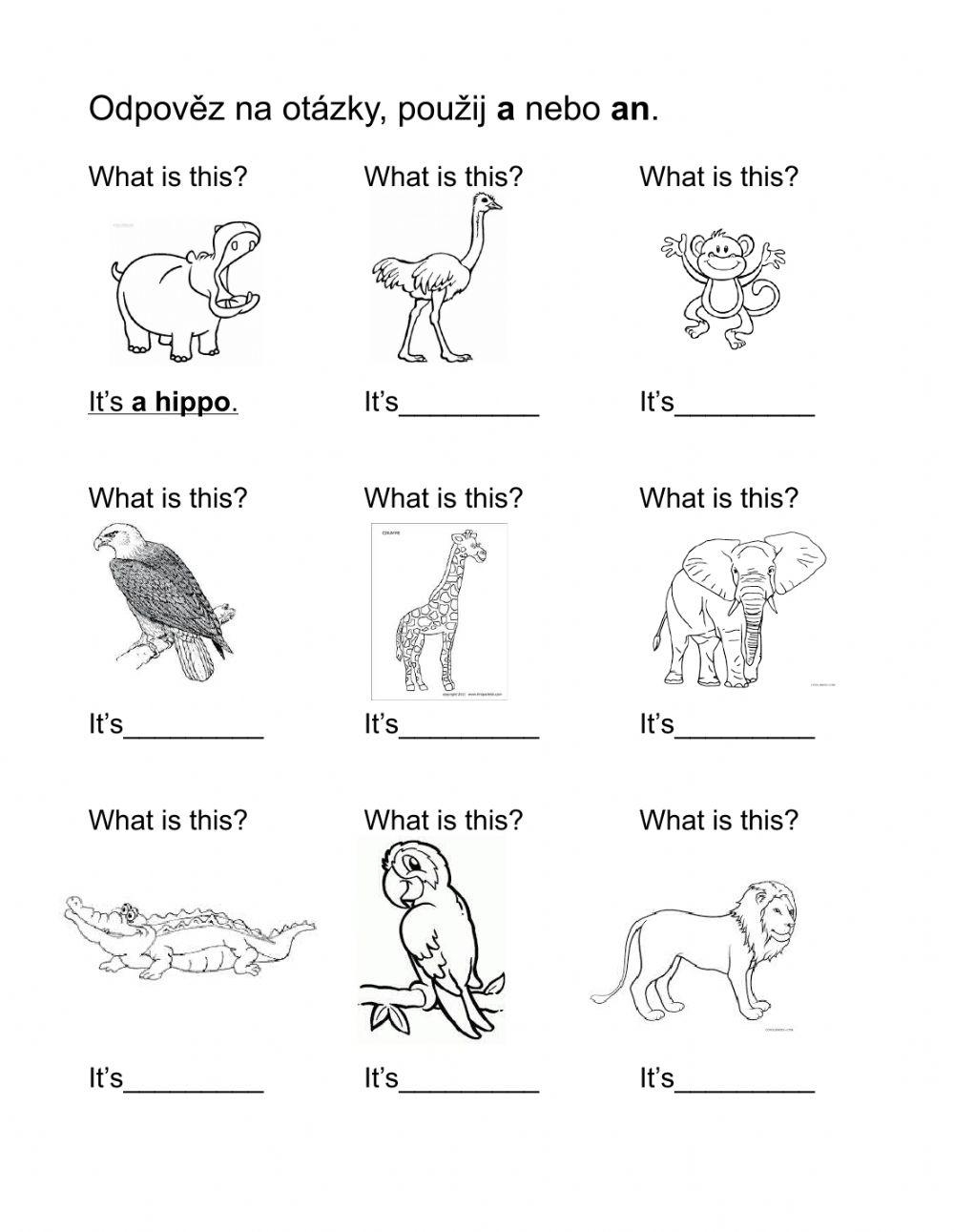 Safari Printables For Preschool