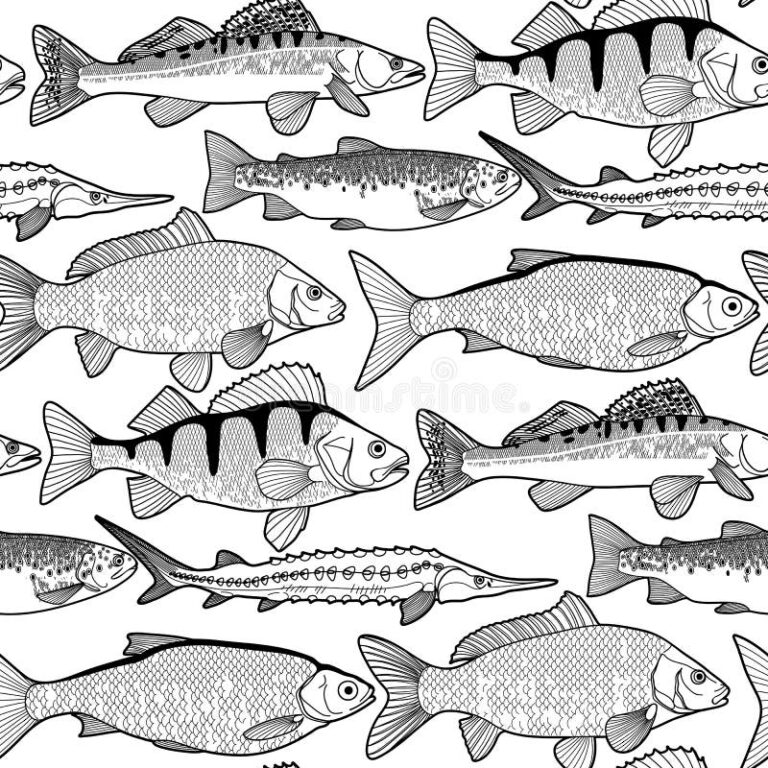 Freshwater Fish Coloring Page Stock Illustrations 241 Freshwater