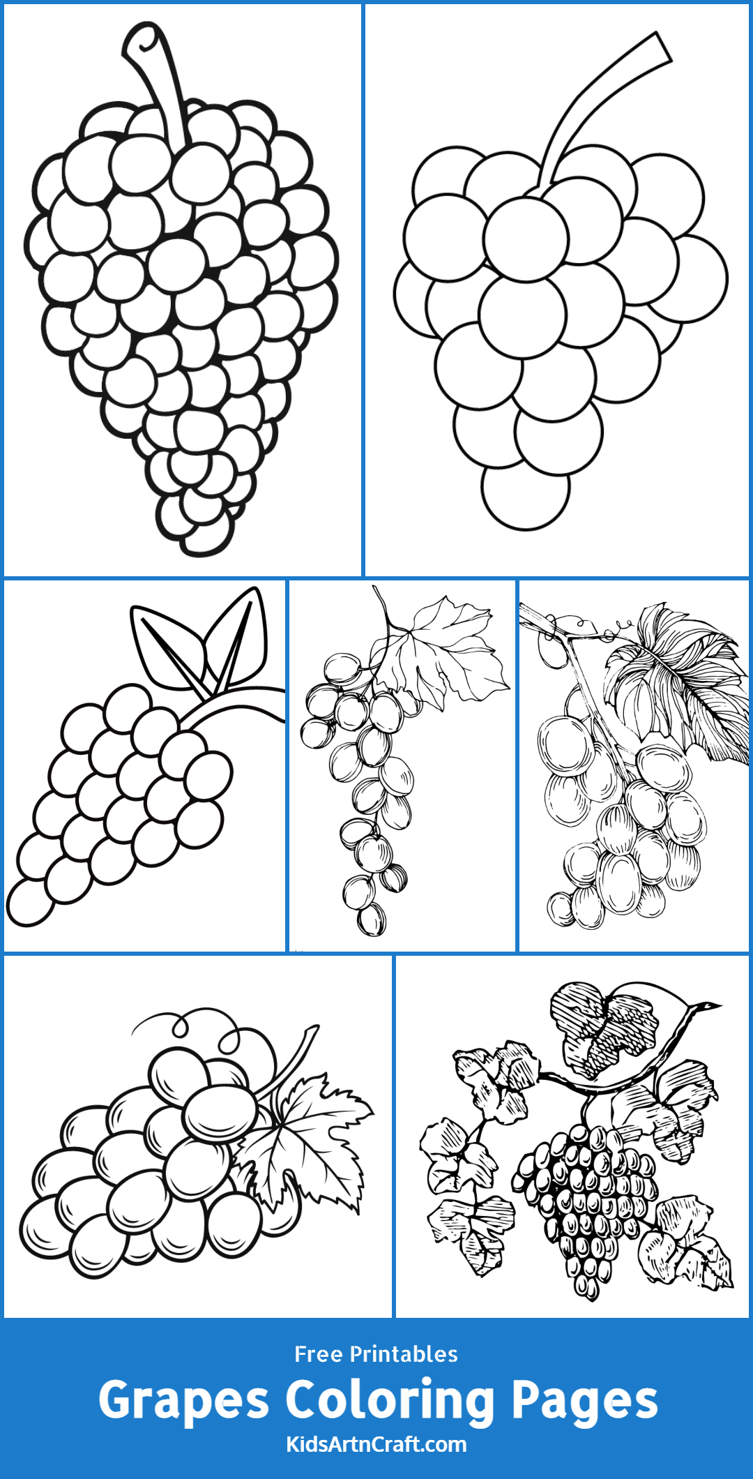 Grapes Coloring Pages For Kids Free Printables Kids Art U0026 Craft