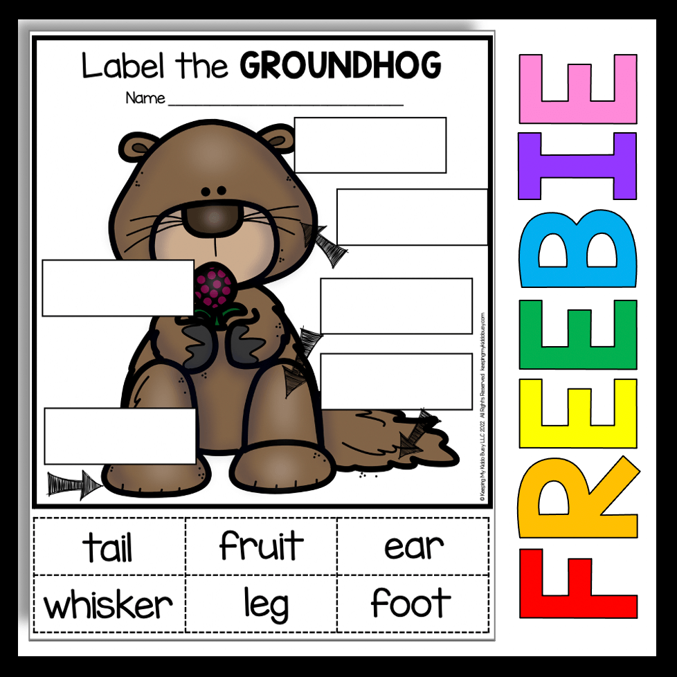 Groundhog Day In Kindergarten And First Grade FREEBIE Keeping My Kiddo Busy Groundhog Day In Kindergarten And First Grade FREEBIE Keeping My Kiddo Busy