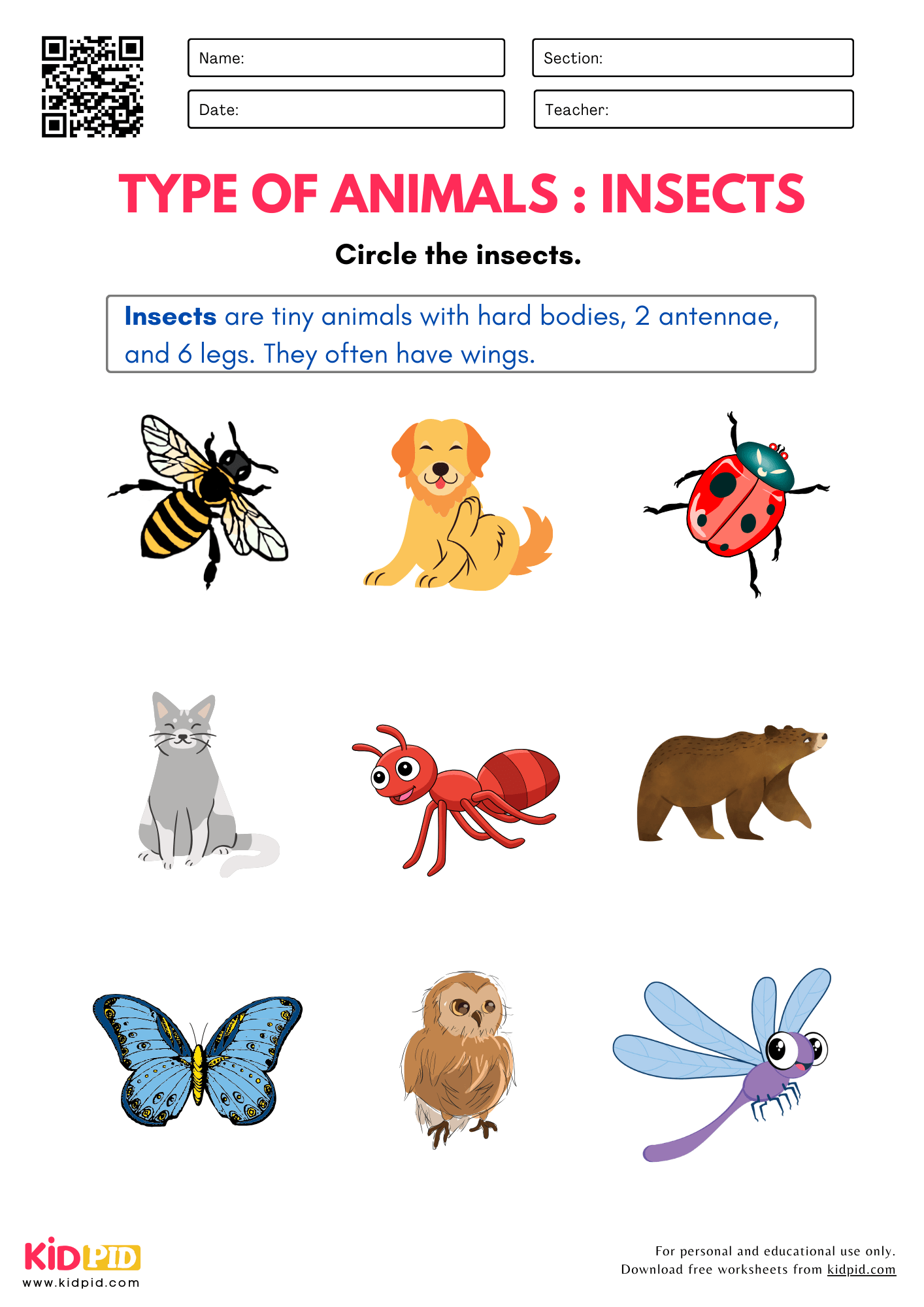 Kindergarten Free Insect Worksheets