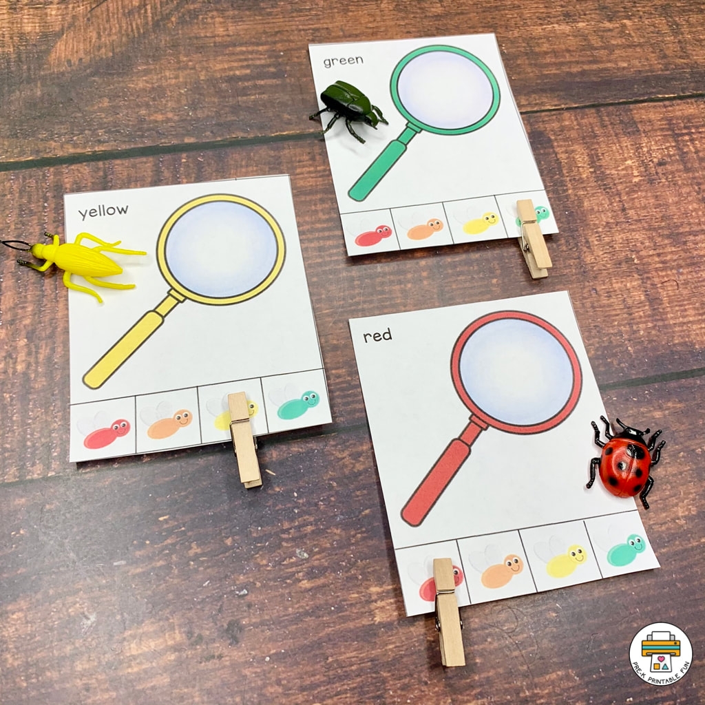 Insect Activity Pack