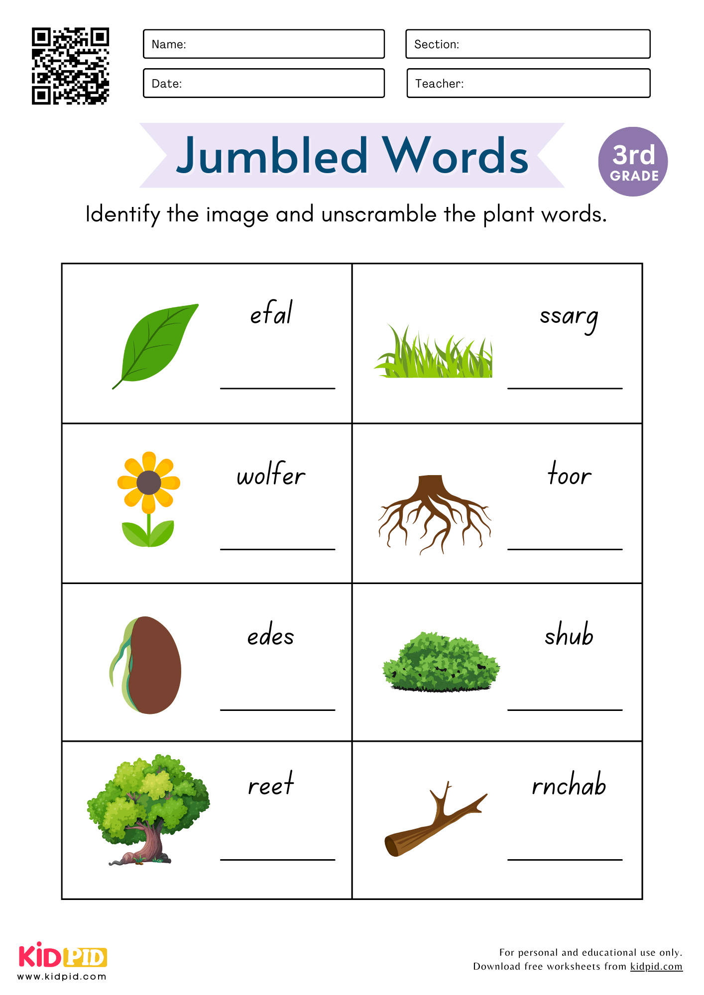 Jumbled Plant Words Worksheet For Grade 3 Kidpid