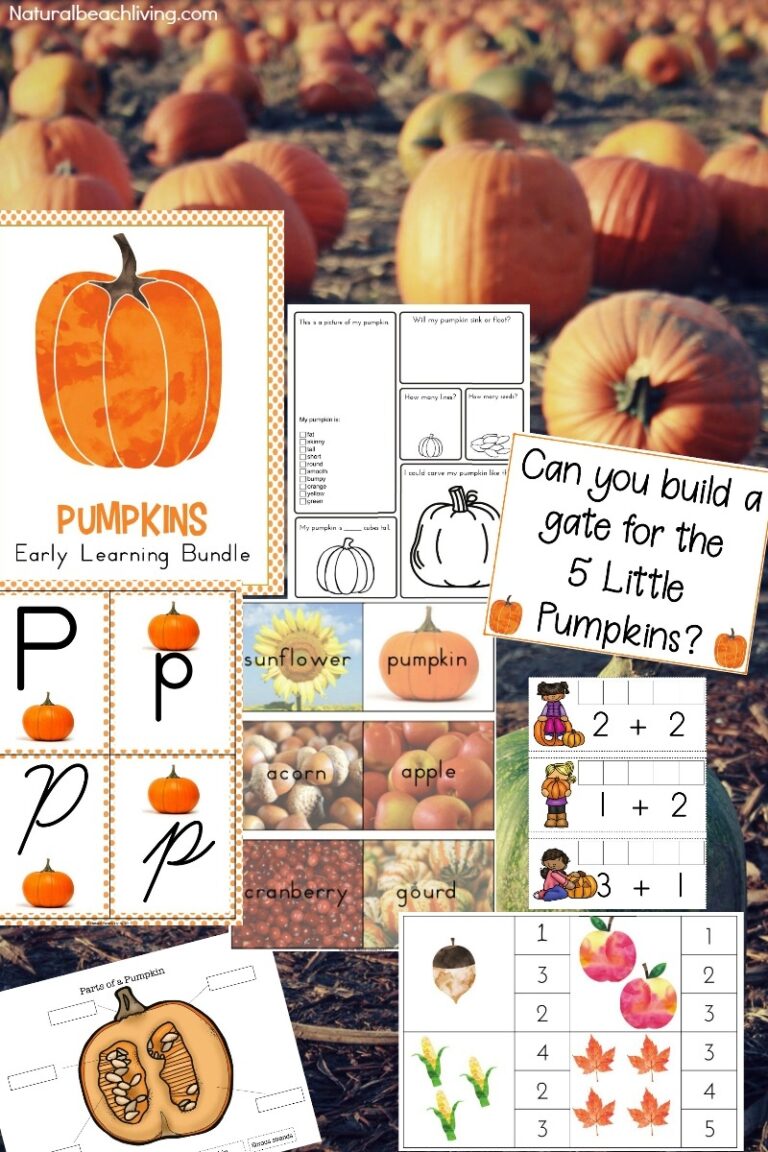 Kindergarten And Preschool Pumpkin Theme Lesson Plan Natural