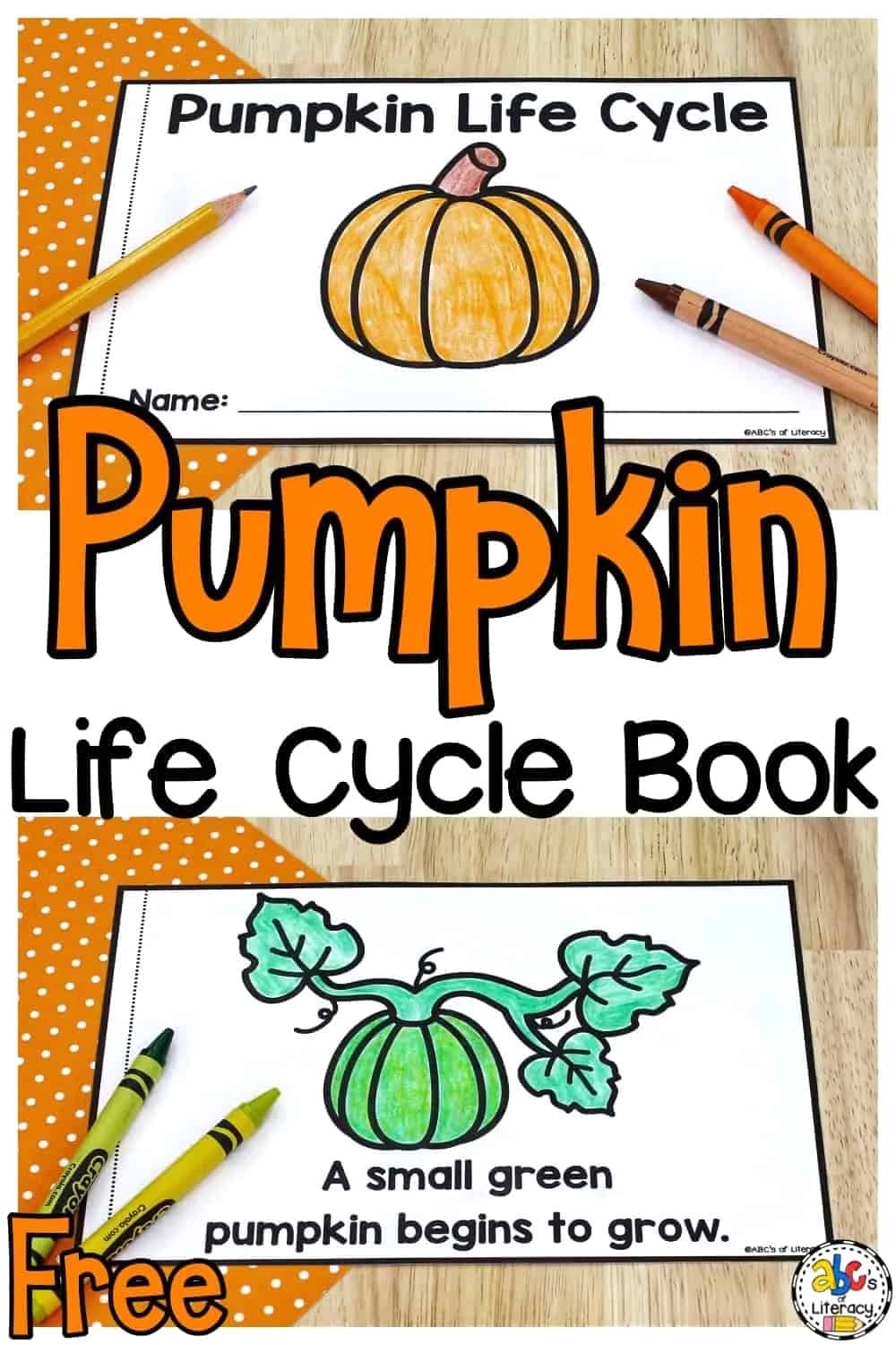 Life Cycle Of A Pumpkin Book Free Printable Science Book Life Cycle Of A Pumpkin Book Free Printable Science Book