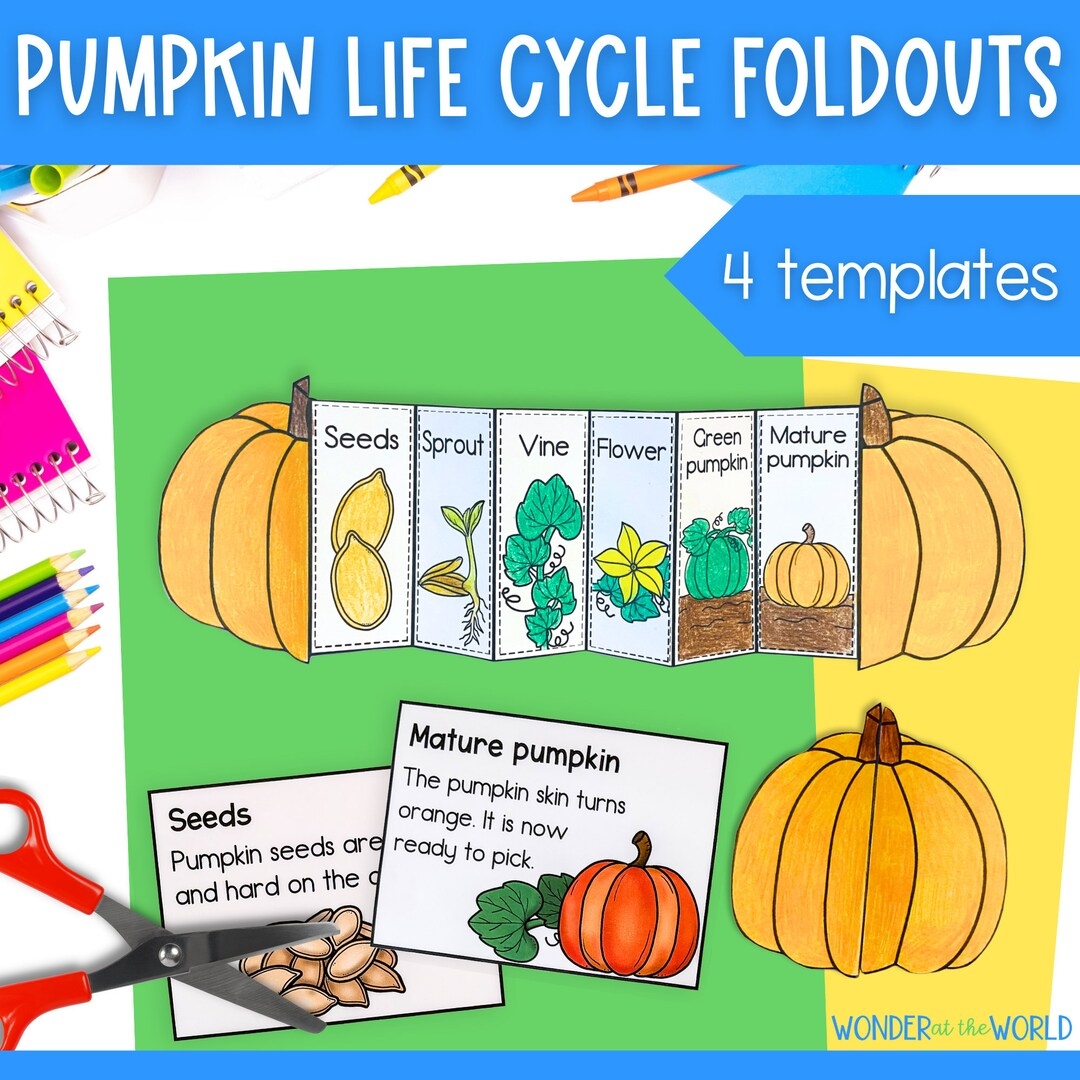 Pumpkin Life Cycle Printable Preschool