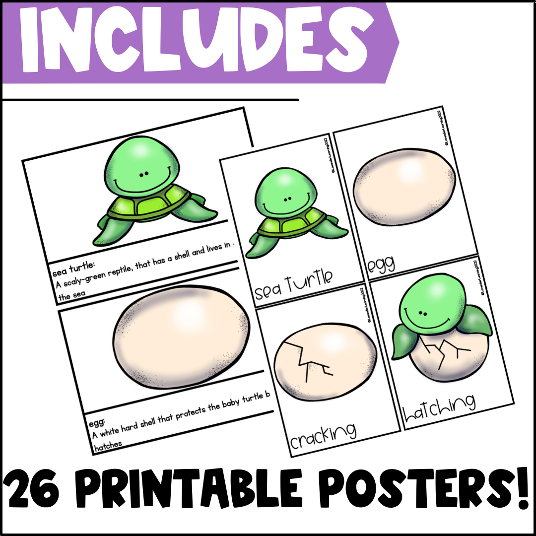 Turtle Diary Free Printable Worksheets