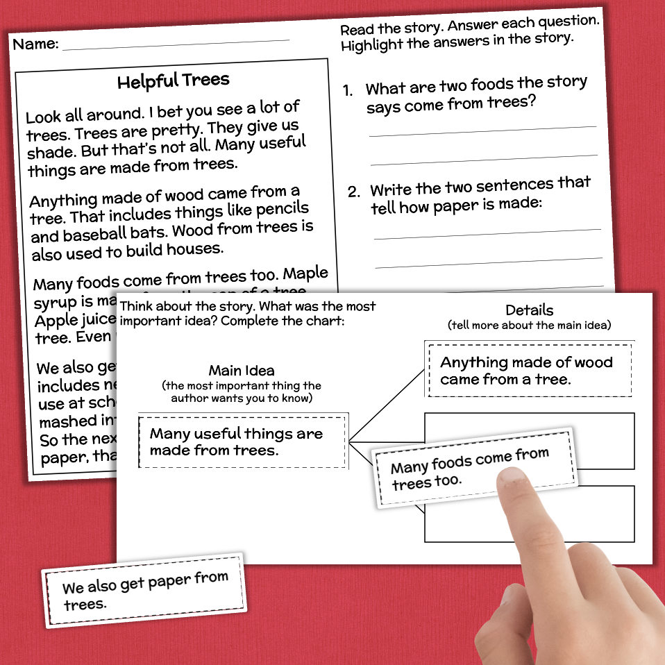 Important Information Reading Comprehension Worksheet
