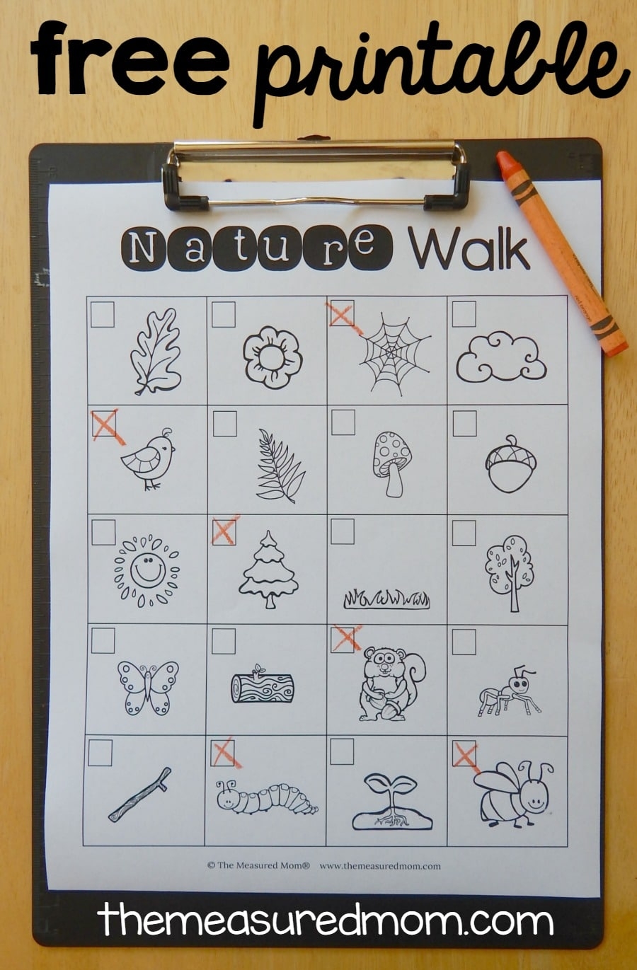 Preschool Scavenger Hunt Printable Free Printable