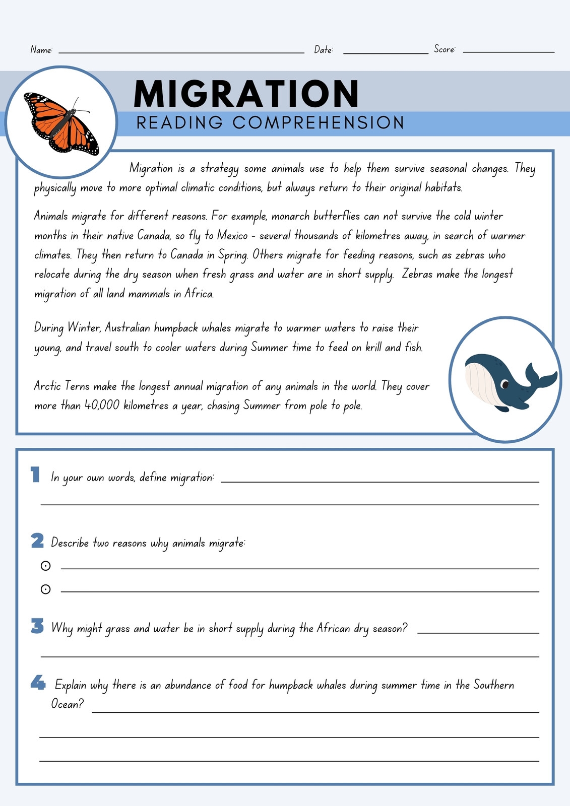 Informative Reading Comprehension Worksheets