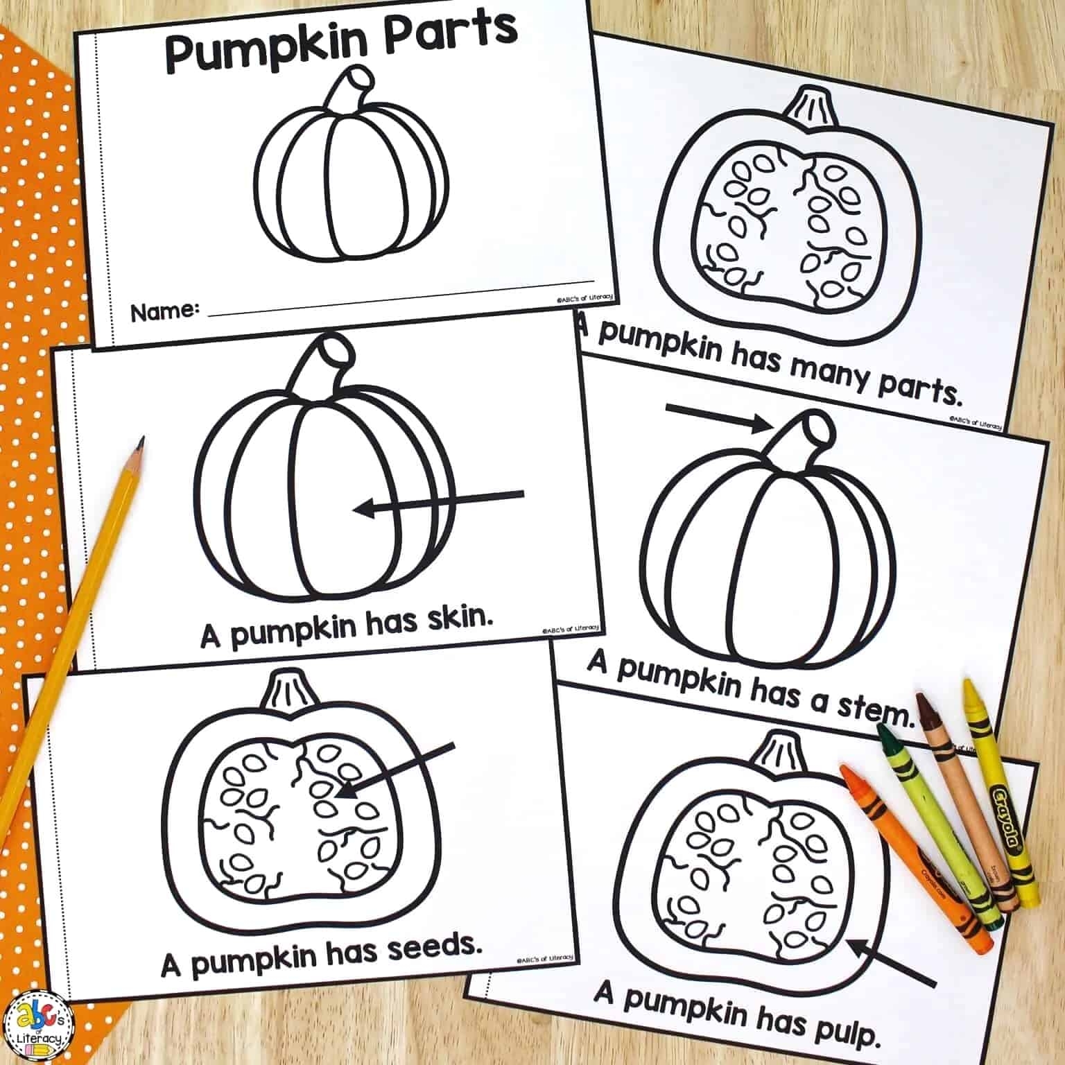 Parts Of A Pumpkin Book Printable Book For Beginning Readers Parts Of A Pumpkin Book Printable Book For Beginning Readers