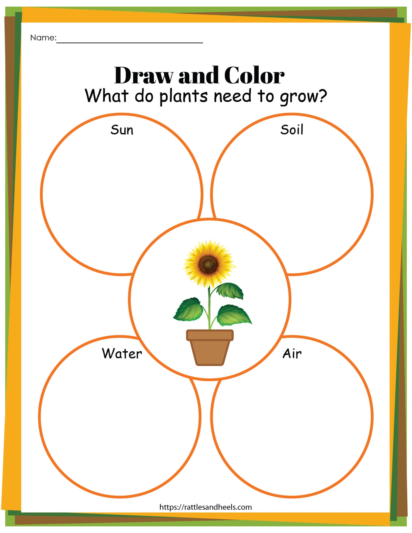 Plant Life Cycle Worksheets Free Printables For Kids Adanna Dill Worksheets Library