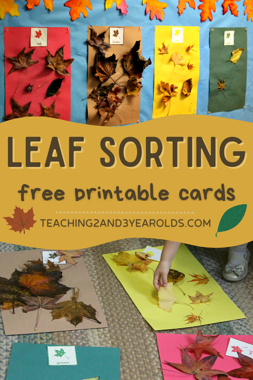 Preschool Leaf Sorting Activity With Free Printable Cards