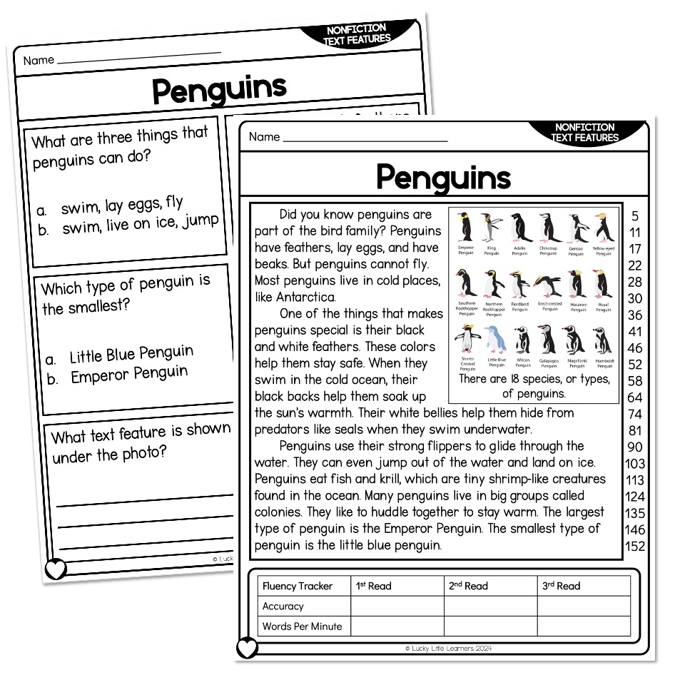 Reading Comprehension Text Features Worksheets