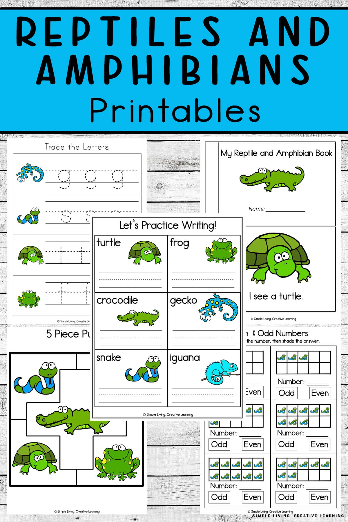Free Printable Worksheets Amphibians Free Printable Worksheets Amphibians