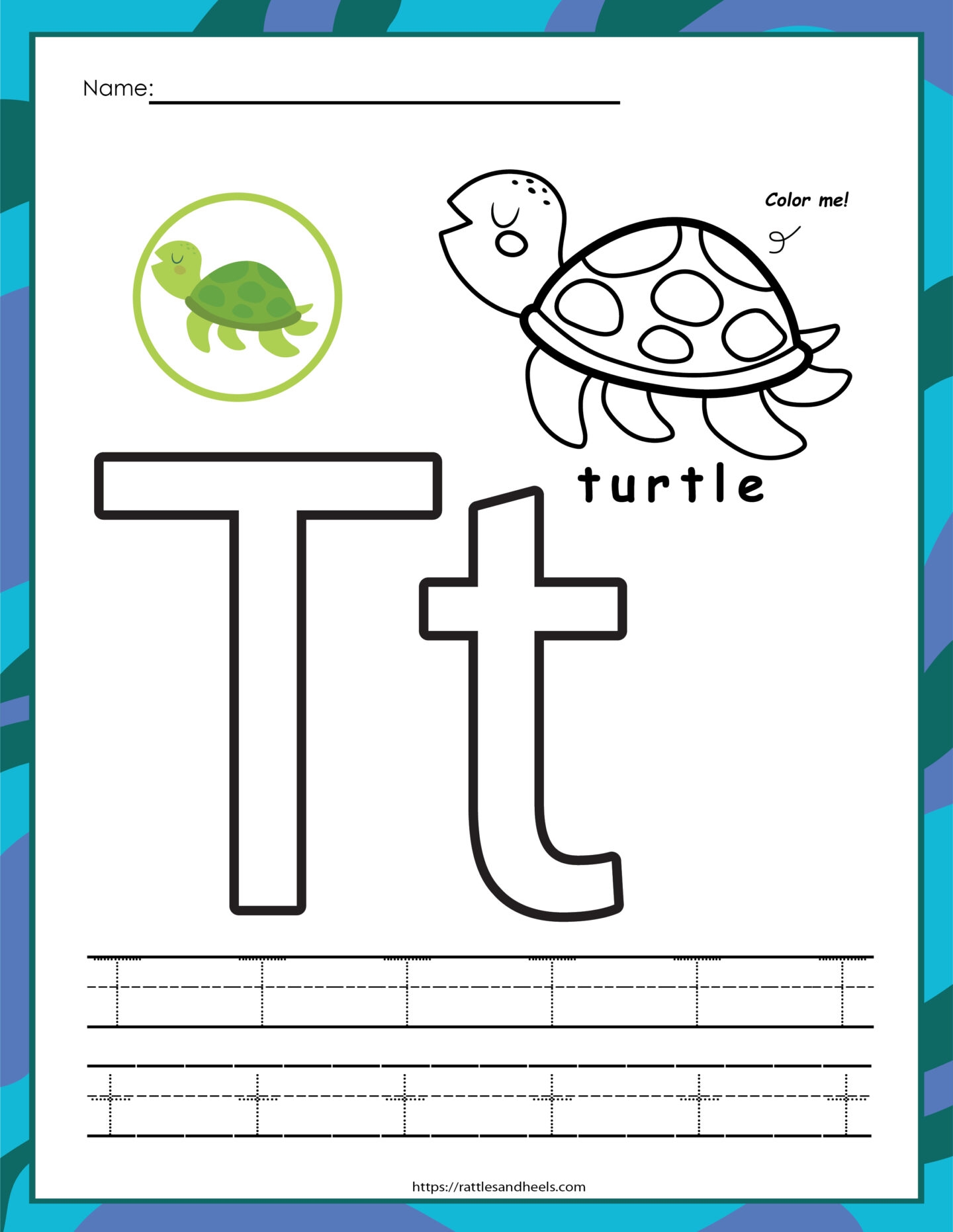 Sea Turtles Activity Sheets Adanna Dill