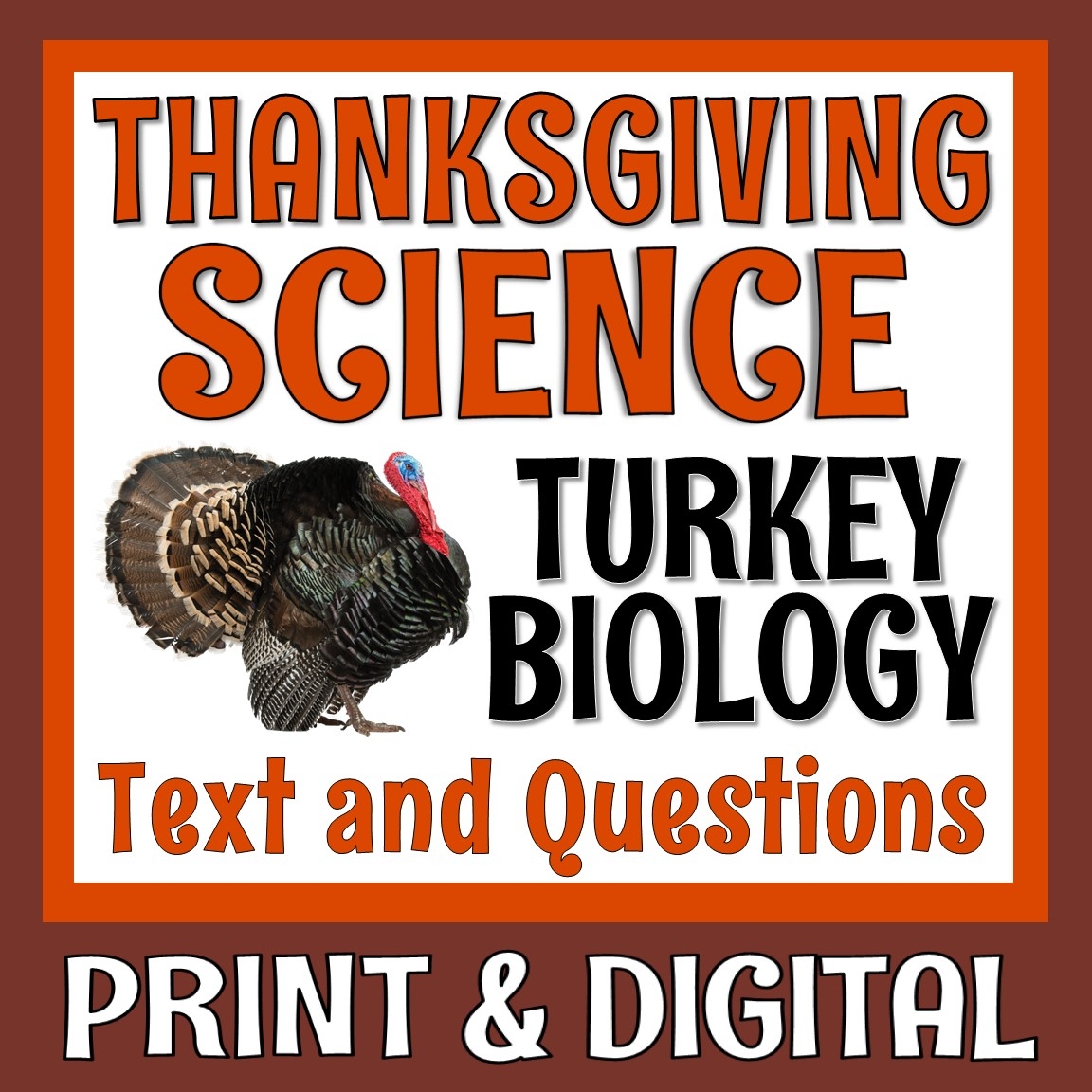 Science Of Thanksgiving Reading Comprehension Worksheets Science Of Thanksgiving Reading Comprehension Worksheets