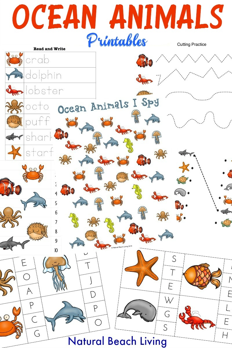 Preschool Ocean Theme Free Printables