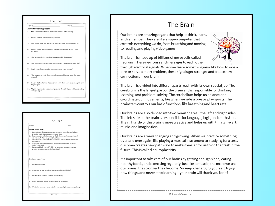 The Brain Reading Comprehension Passage Printable Worksheet The Brain Reading Comprehension Passage Printable Worksheet