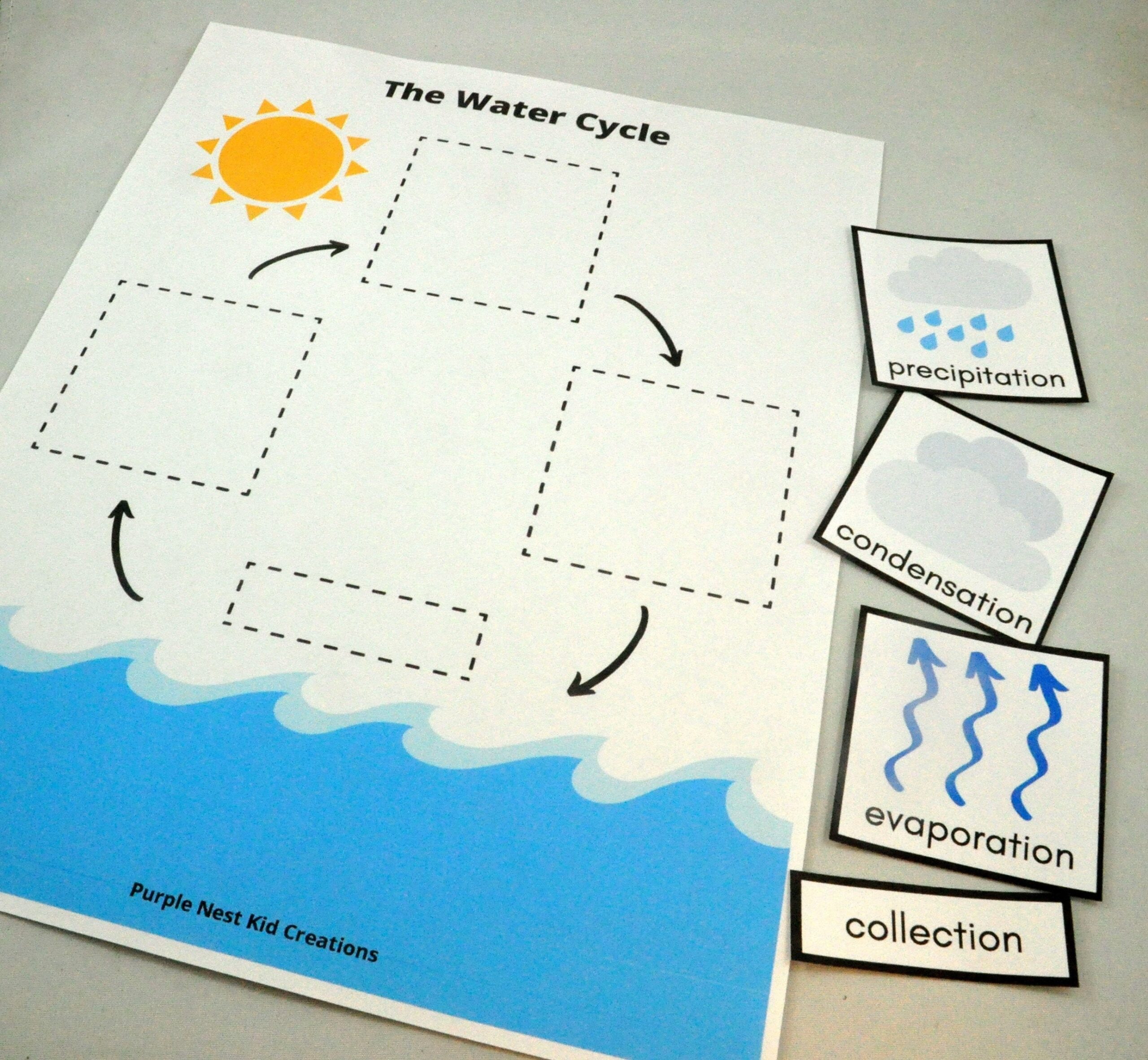 The Water Cycle Worksheet Water Life Cycle Rain Raindrops 