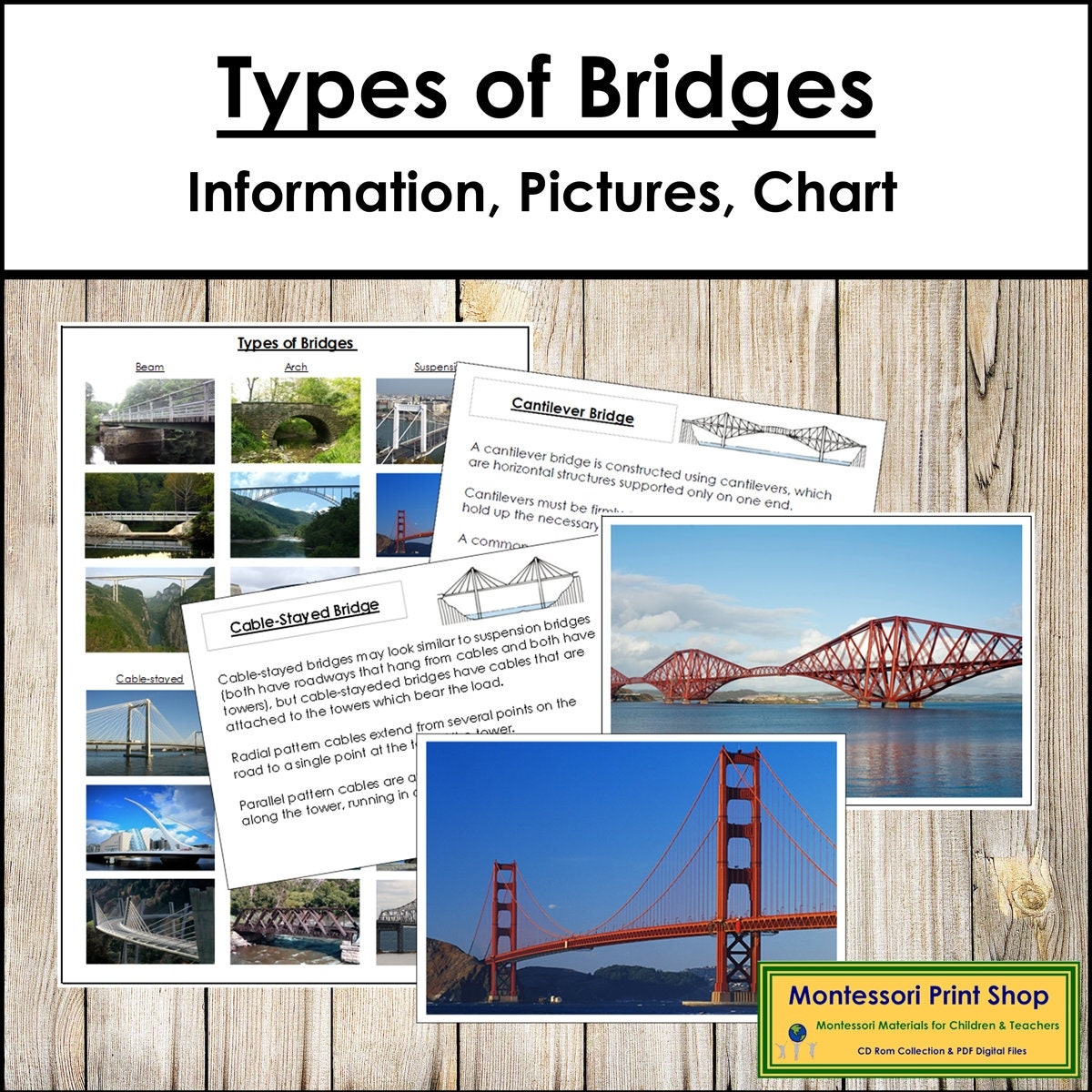 Types Of Bridges Structural Engineering Montessori Lesson Printable Digital Download Etsy