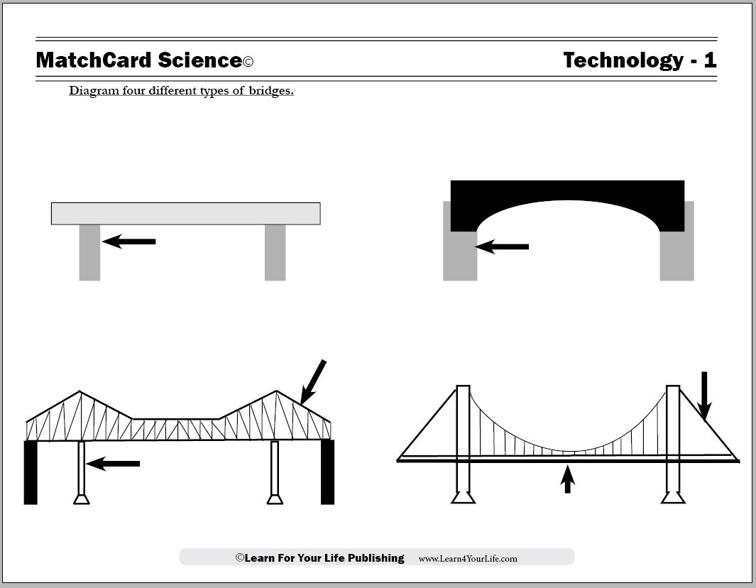 Types Of Bridges