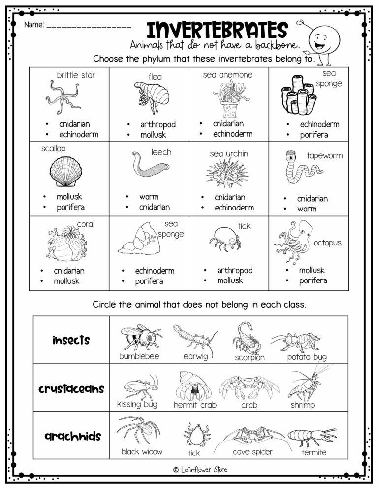 Vertebrate Invertebrate English ESL Worksheets For Distance 44 OFF Worksheets Library