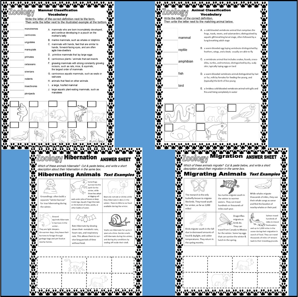 Zoology Animal Classification Science Study Unit Worksheets Made By Teachers